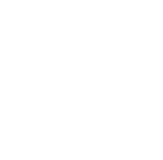 IDFA 2026 Official Selection